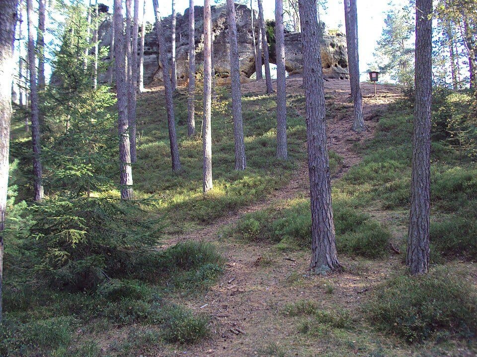 [Č] Ještěd - Pod Děvínem