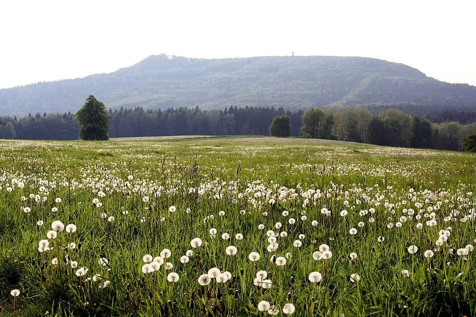 Lückendorf - Dreiecker (gelber Strich)