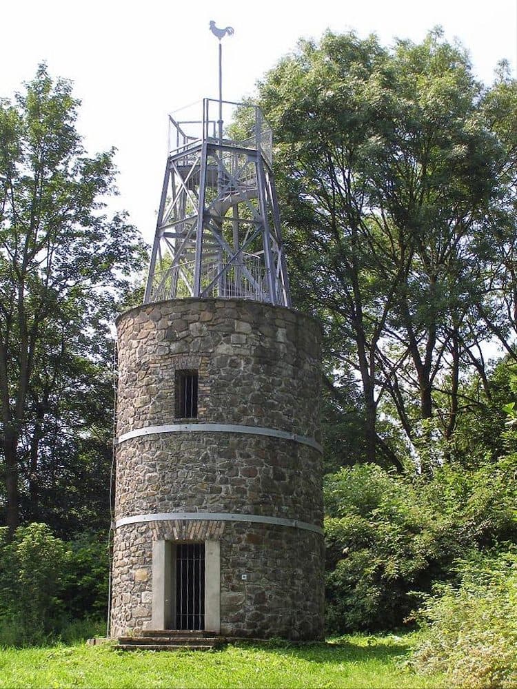 Kohout