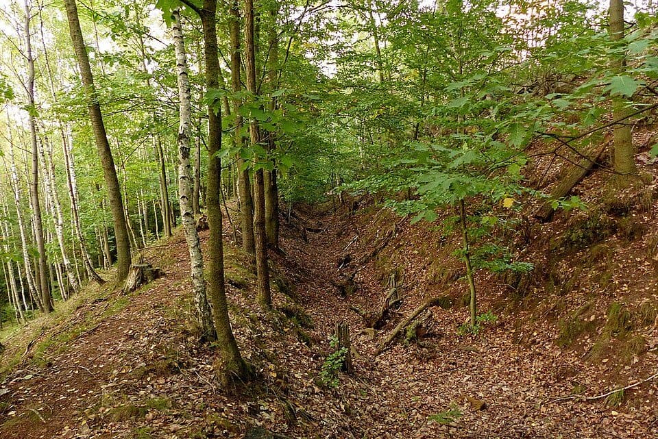 Doubek