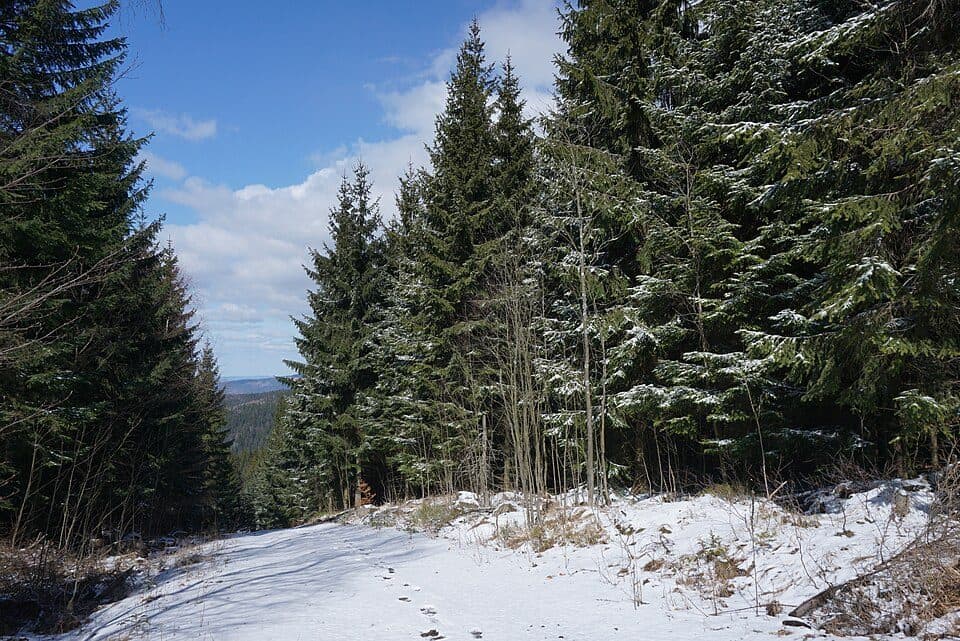 [Č] Liberec - Bedřichov - Kristiánov