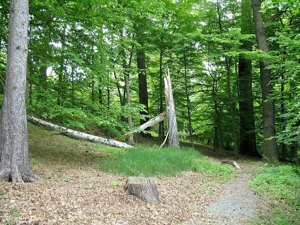 Ptačí vrch