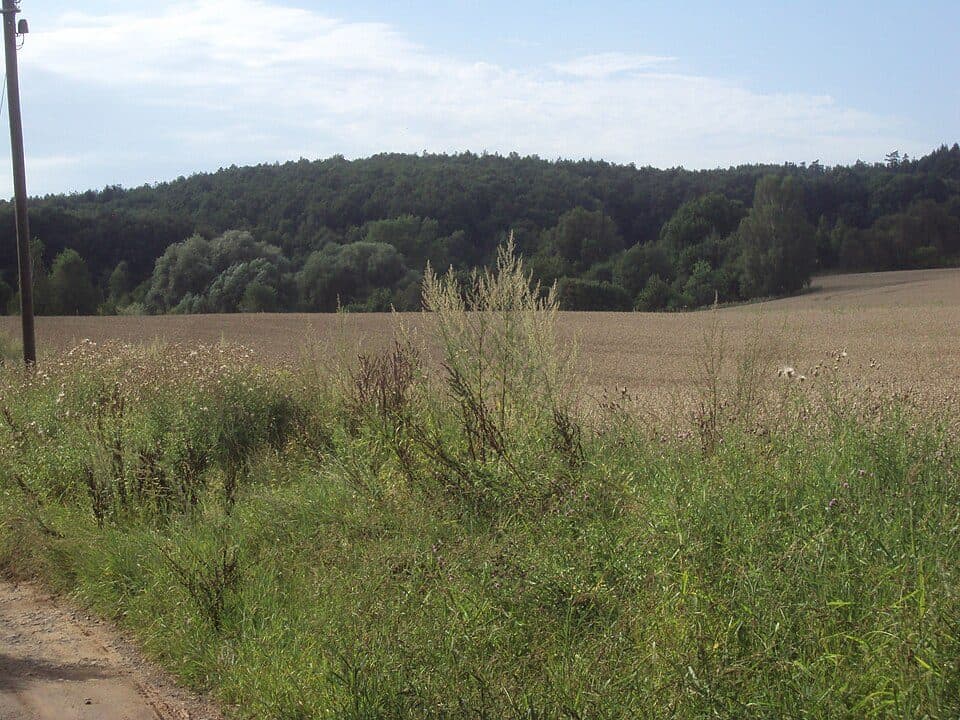 Via Czechia - Středozemím (2. Kokořínsko a Máchův kraj)