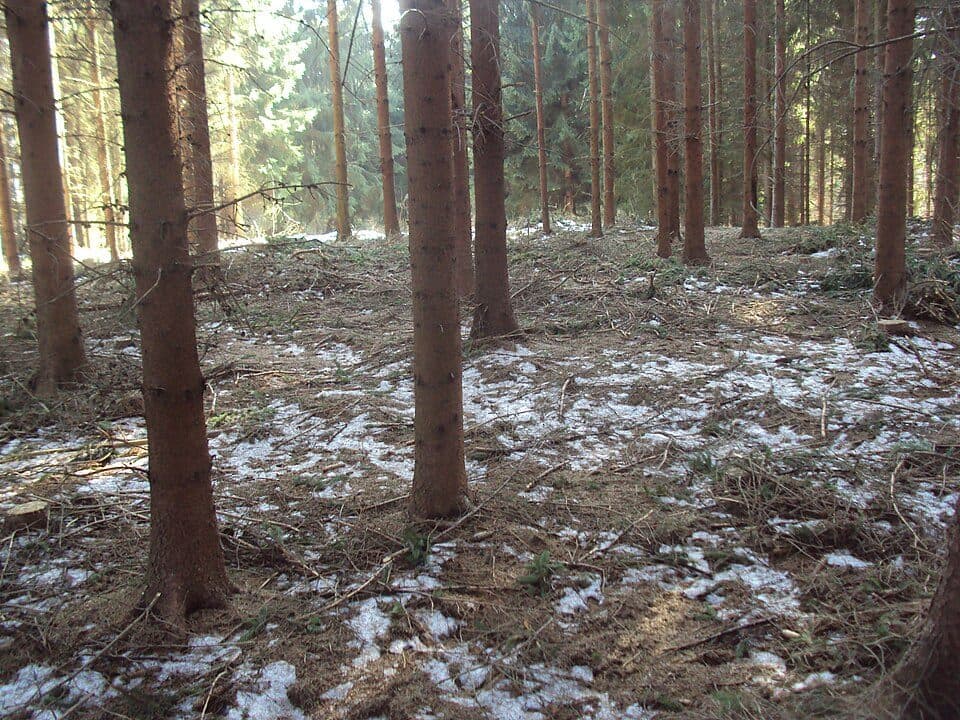 Ovčí vrch