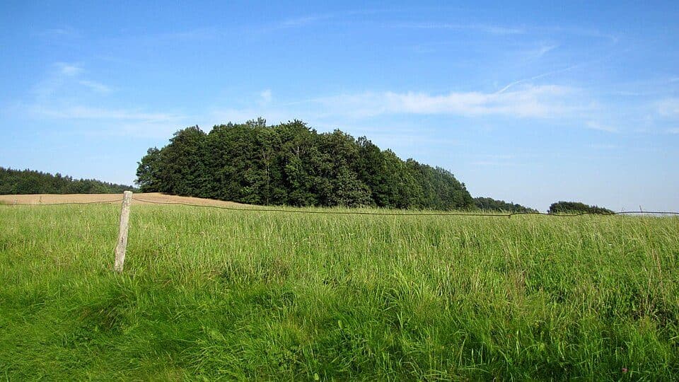 Schönbacher Ringwanderweg
