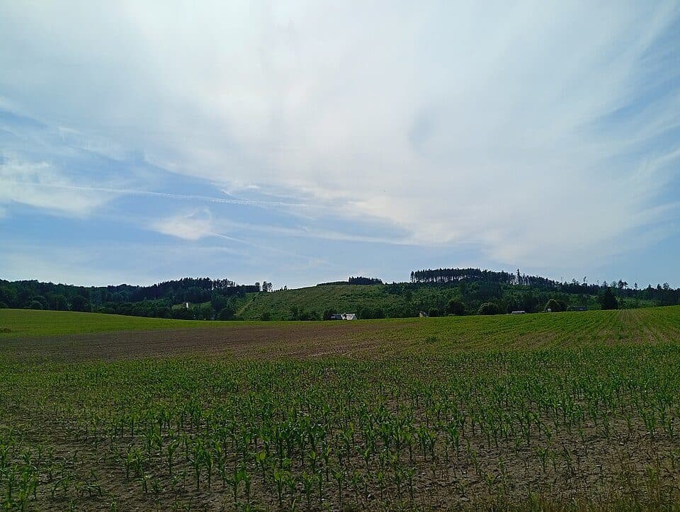 Sohland Neudorf - Grenze CZ