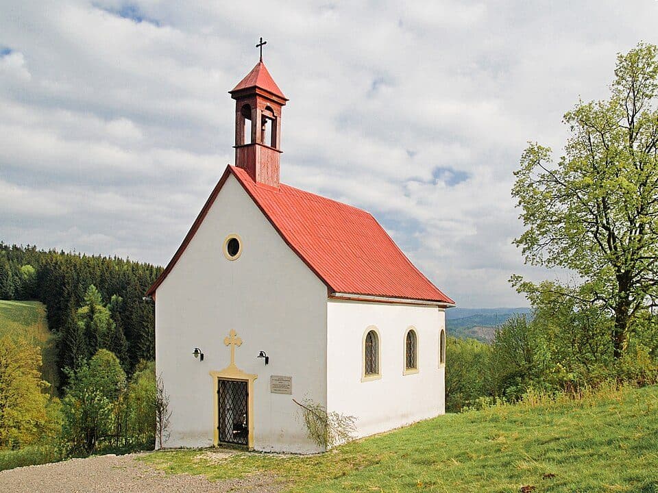 Ścieżka spacerowa żółta