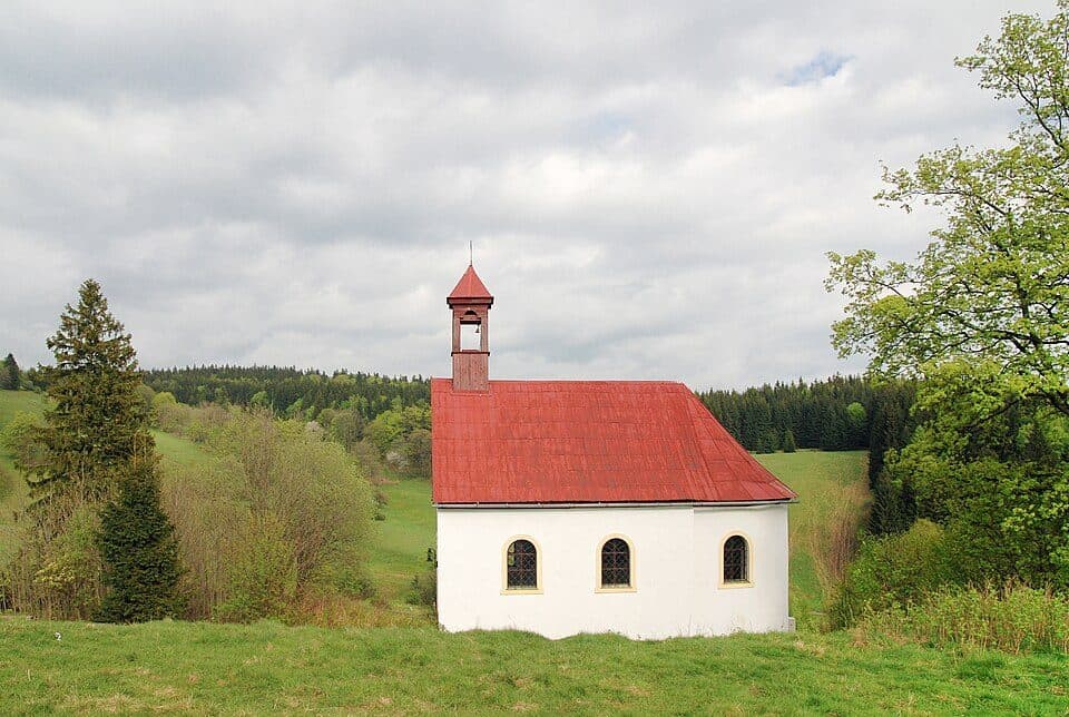 Ścieżka spacerowa żółta