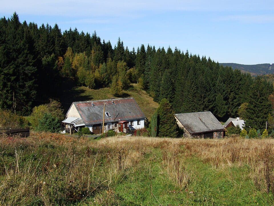 Ścieżka spacerowa żółta