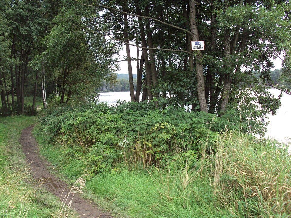 Radvanec — zdjęcie 2