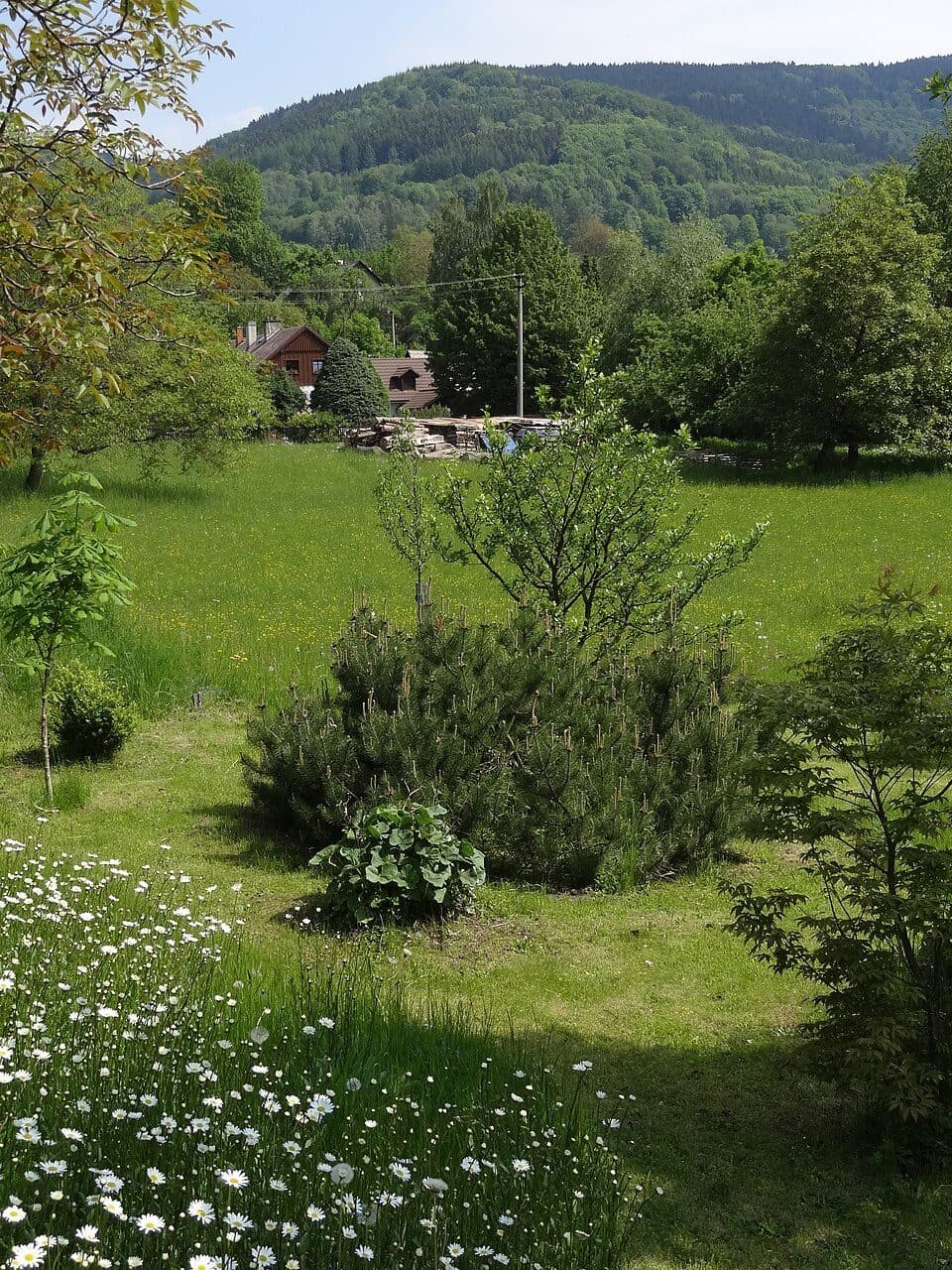 Cesta Karoliny Světlé