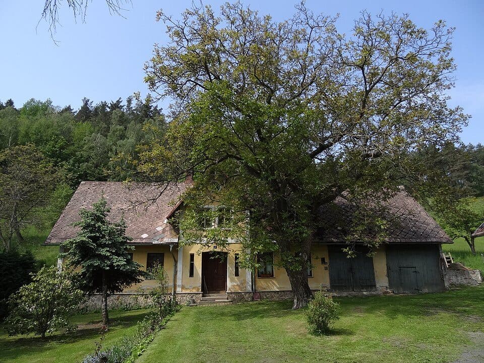 Cesta Karoliny Světlé