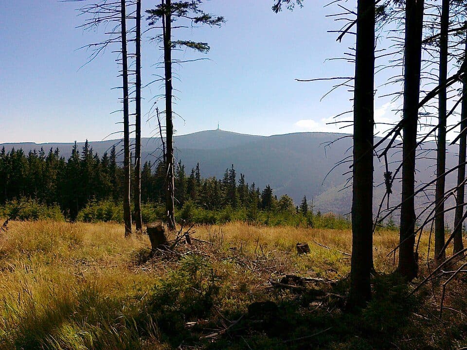 [M] Vrbno pod Pradědem - Domašov
