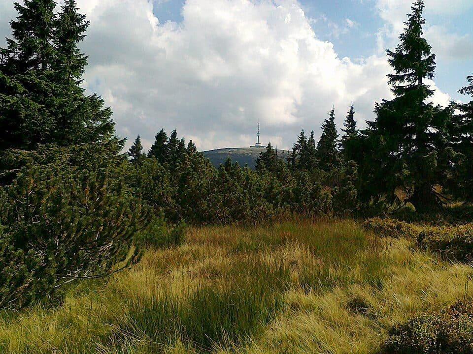 [M] Vrbno pod Pradědem - Domašov