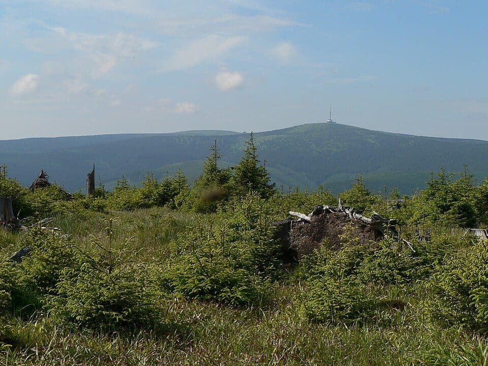 [M] Vrbno pod Pradědem - Domašov