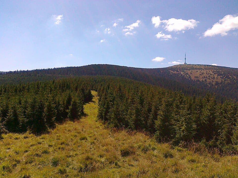 [M] Vrbno pod Pradědem - Domašov