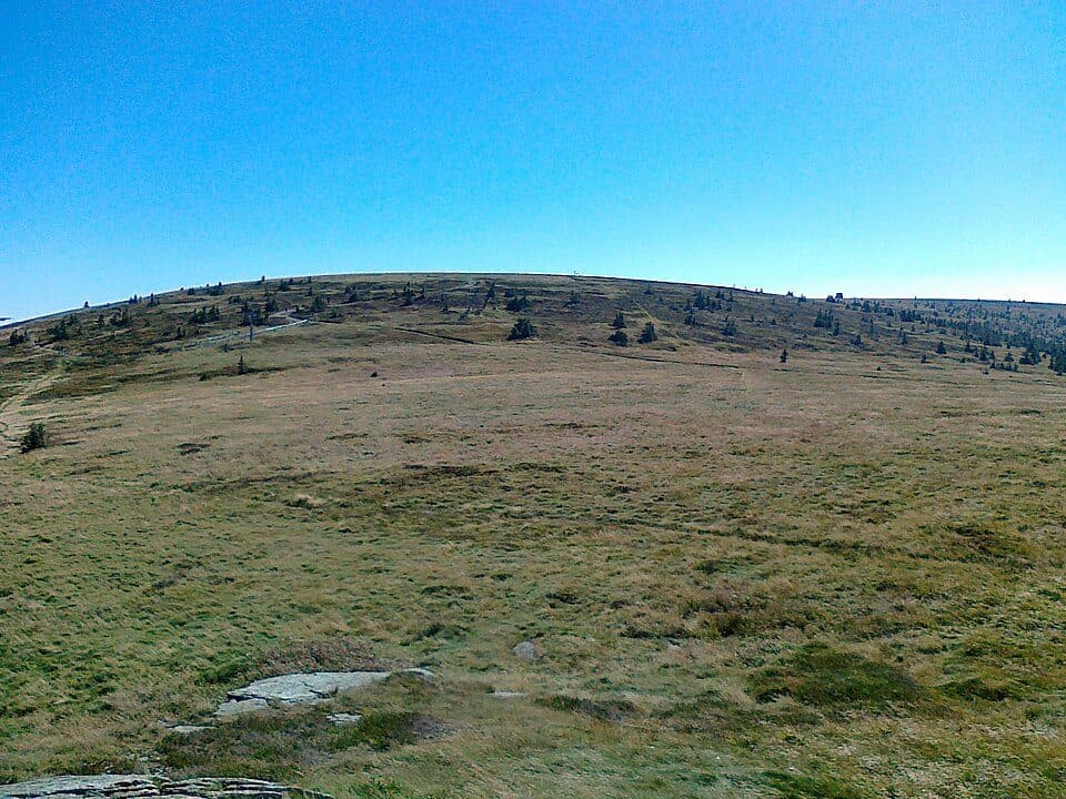 Vysoká hole