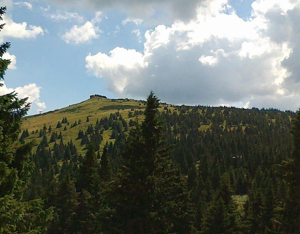 [Ž] Ovčárna - Brantice