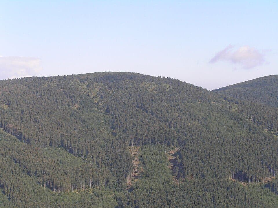 Puchacz (Masyw Śnieżnika)