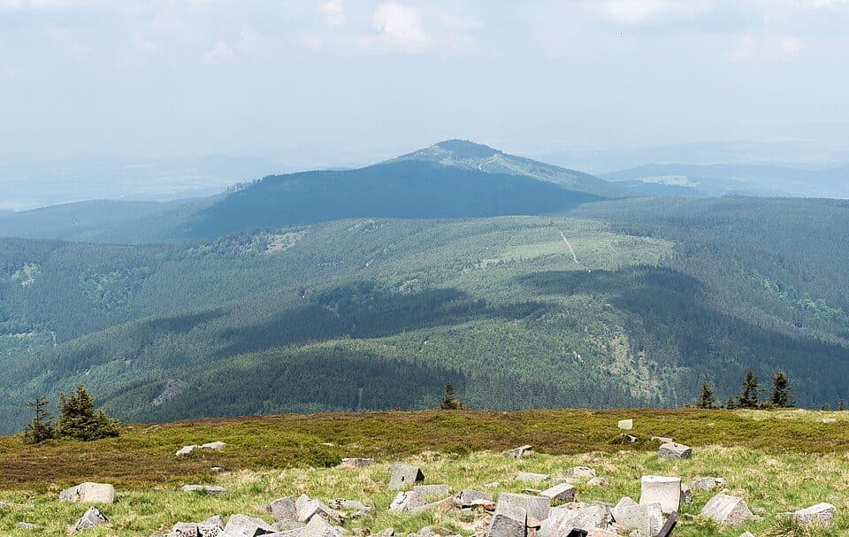 Jaworowa Kopa (Masyw Śnieżnika)