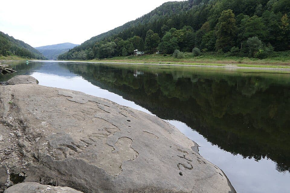 [Z] Hřensko (Suchá Kamenice) - Labská Stráň