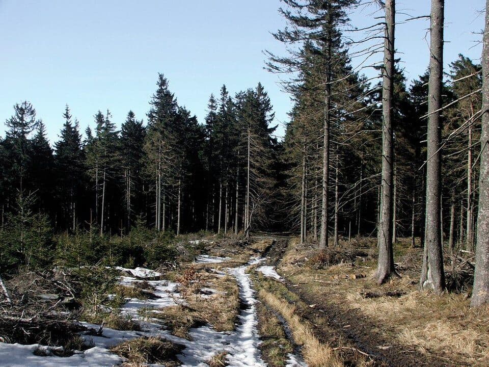 Via Czechia - Severní (11. Rychlebské hory)