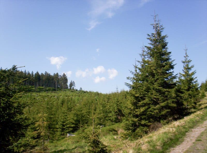 Przełęcz Sucha - Przełęcz Gierałtowska