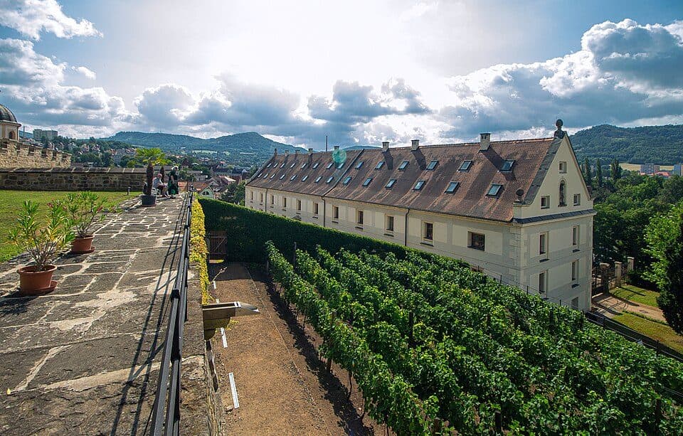 [Č] Děčín (Tyršův most) – Děčín (nemocnice)