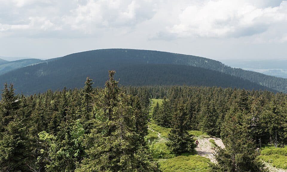 Smrekowiec (Sudety)