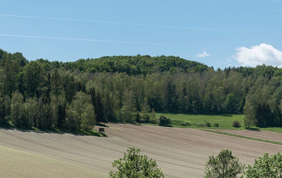 Żeleźniak (Masyw Śnieżnika)