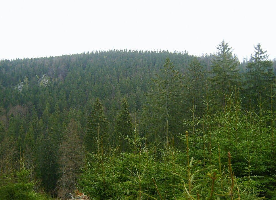 Pasieczna (góra)
