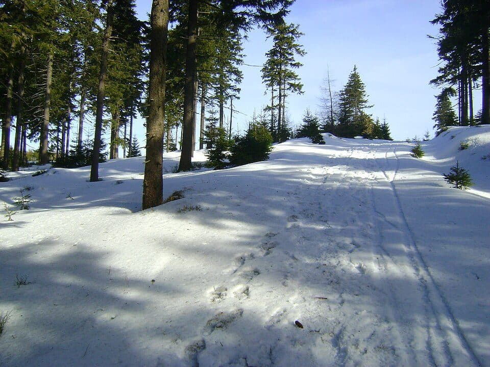 Wysoczka (Masyw Śnieżnika)