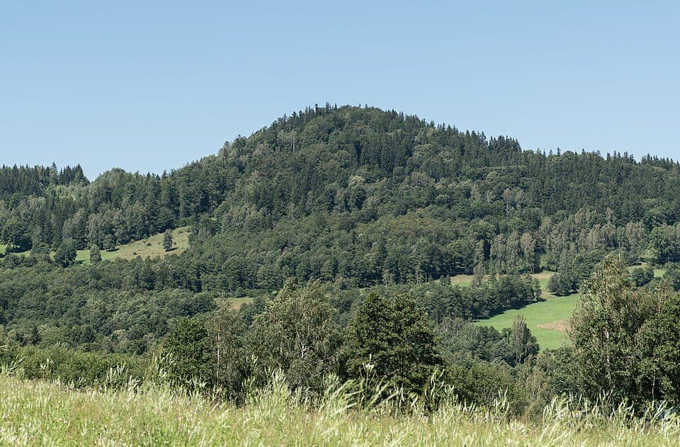 Krzyżnik