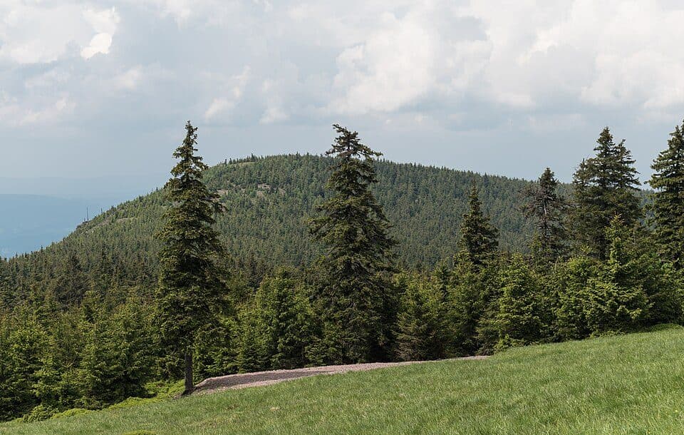 Czarna Kopa (Masyw Śnieżnika)