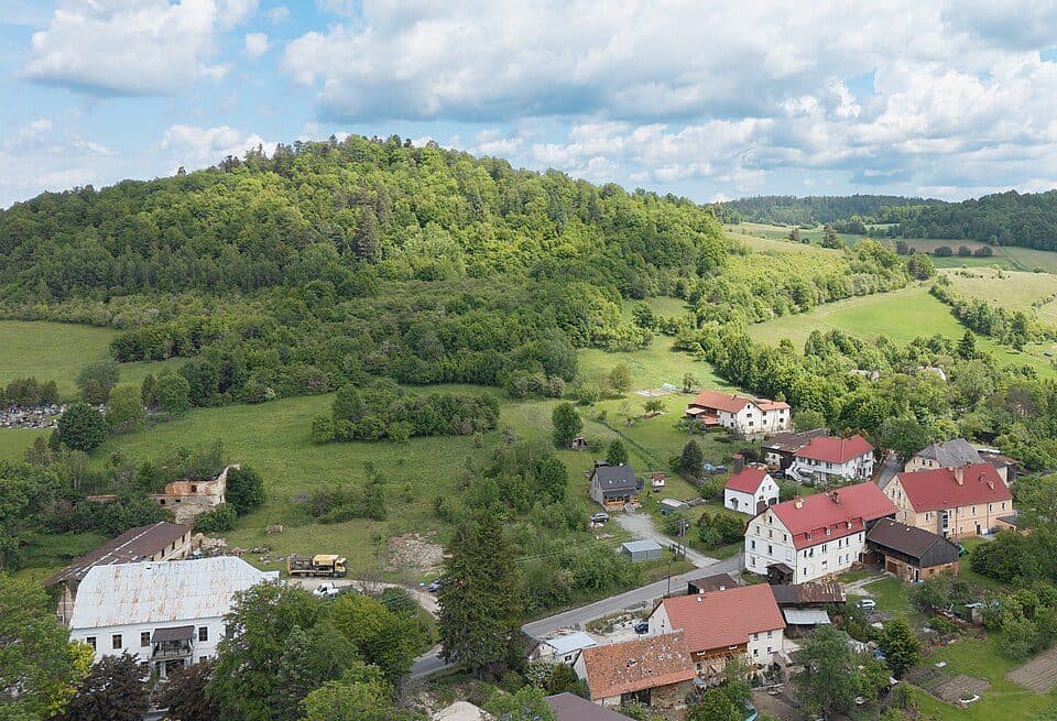 Dzicza Góra (Masyw Śnieżnika)