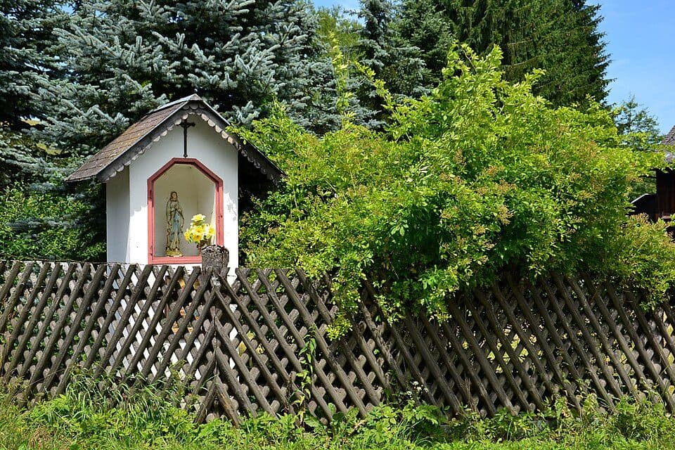 [Č] Žibřidovice - Sušina