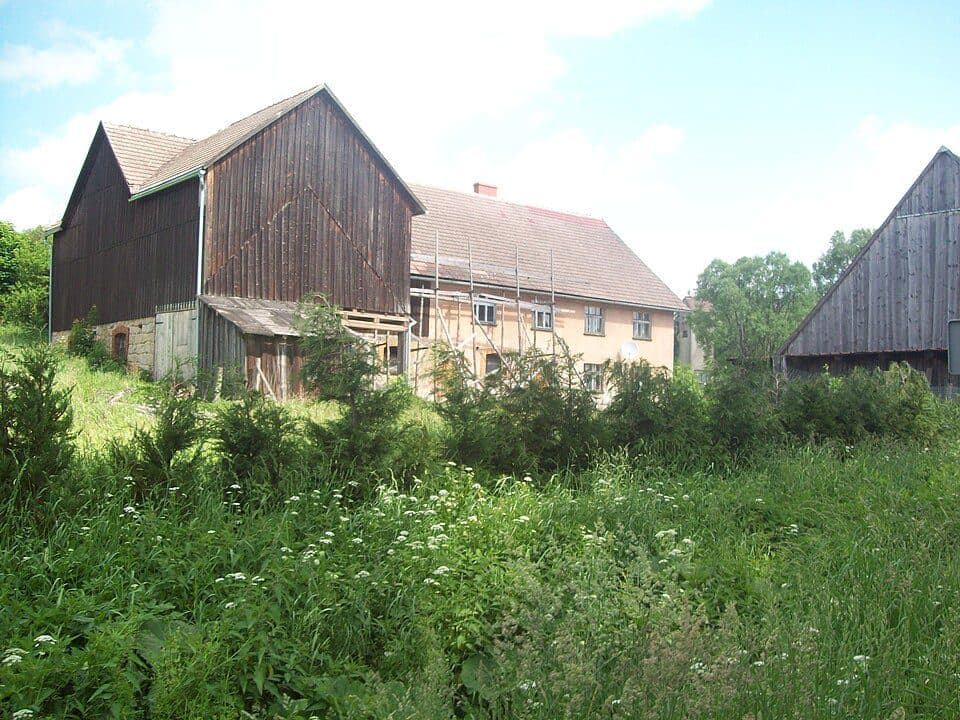 Szlak żółty