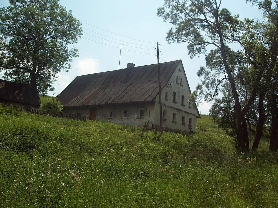 Szlak żółty