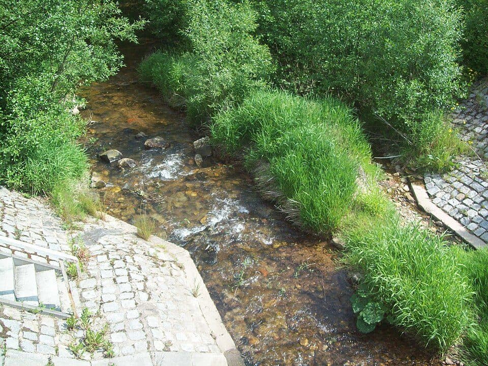 Szlak żółty