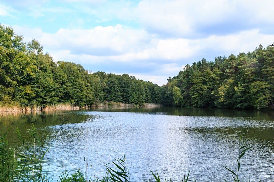 Novodvorský rybník II