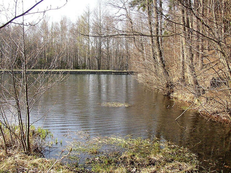 Lesenská přehrada
