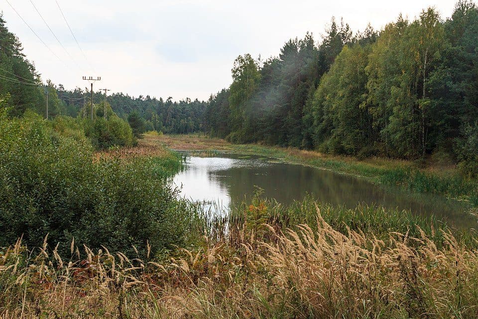Geostezka Po stopách železných rud