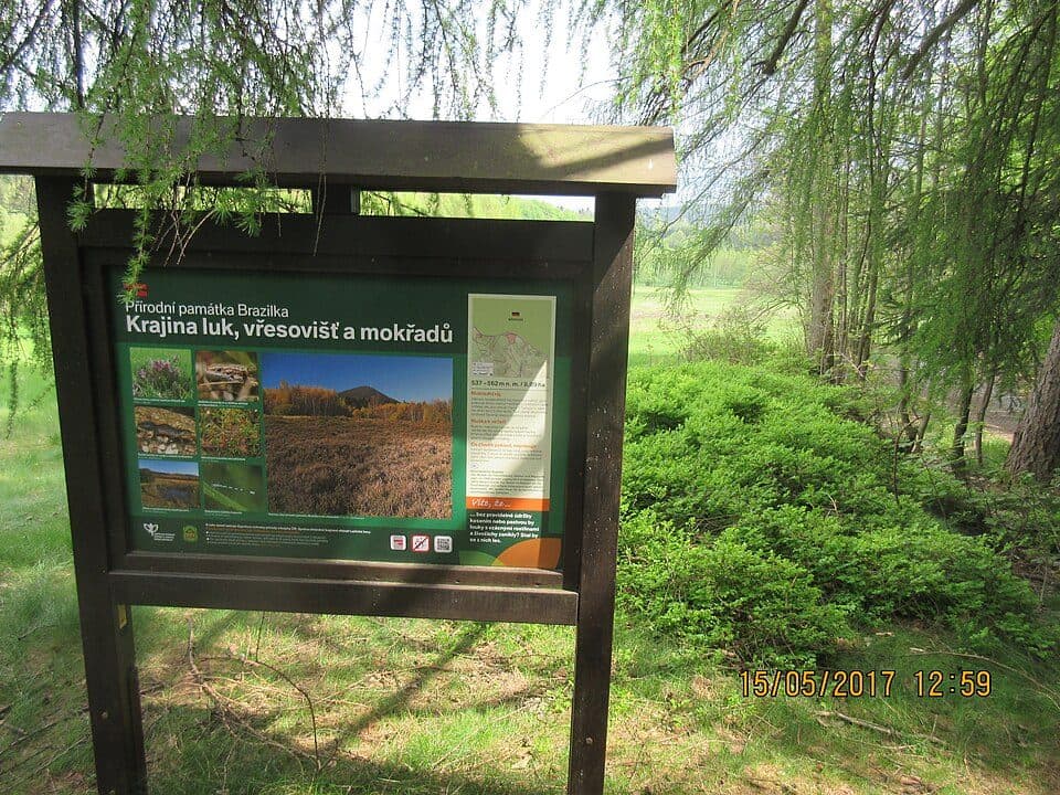 LG-Grüner Gegenschrägstrich - Naturlehrpfad Waltersdorf