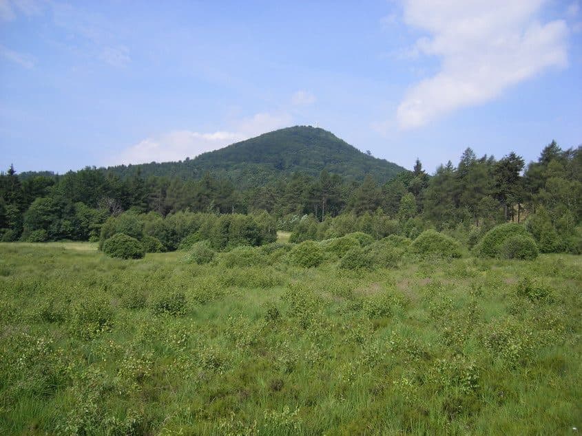 Jonsdorf - Grenze CZ (grüner Strich)
