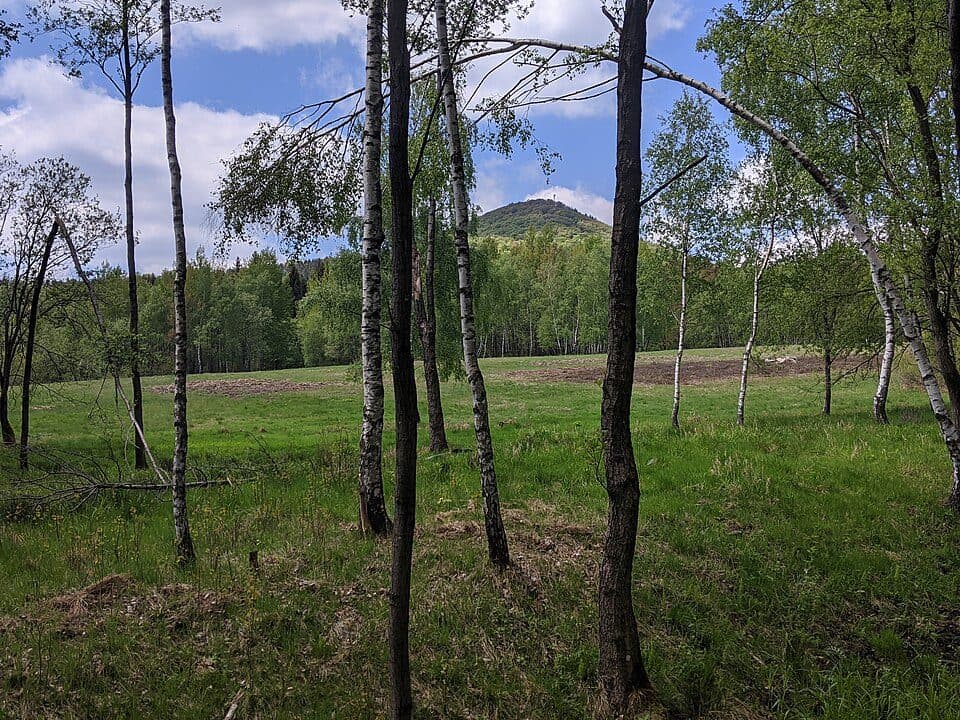 Wanderweg Gelber Punkt