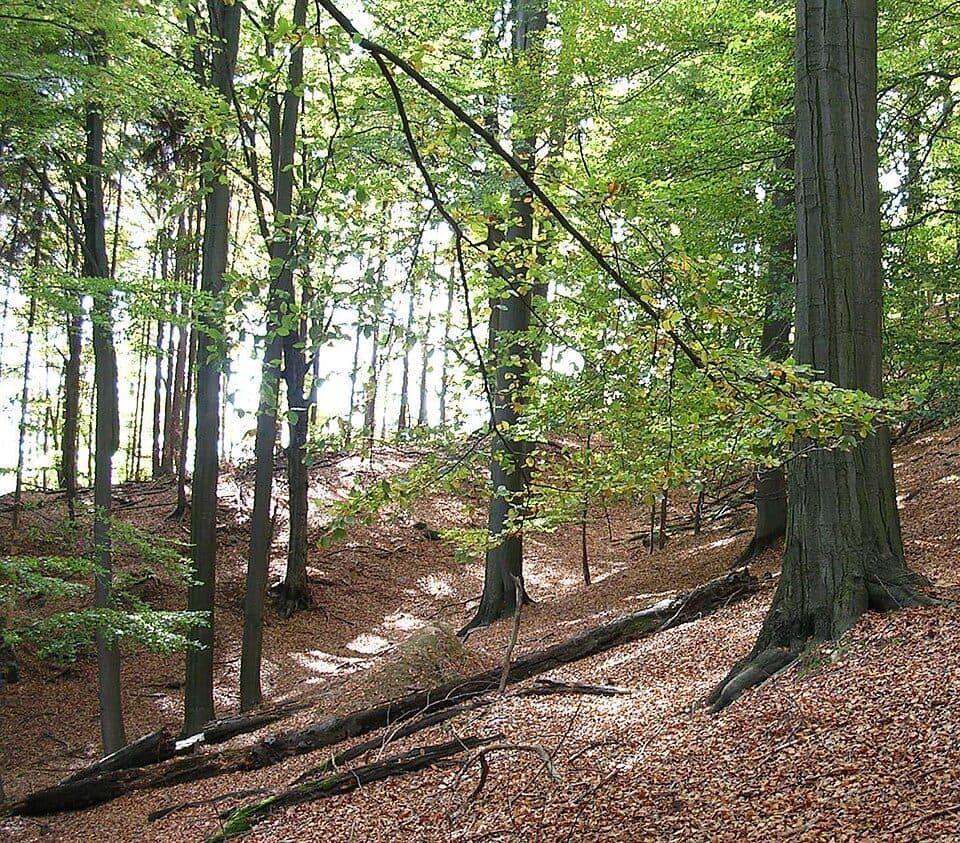 Verbindung zwischen Lindengründel, Luchsstein und Brückengrund