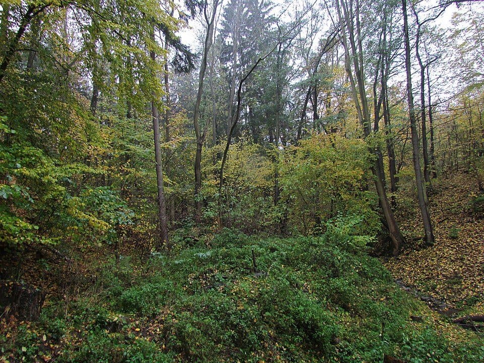 Březinské tisy — fotografie 2