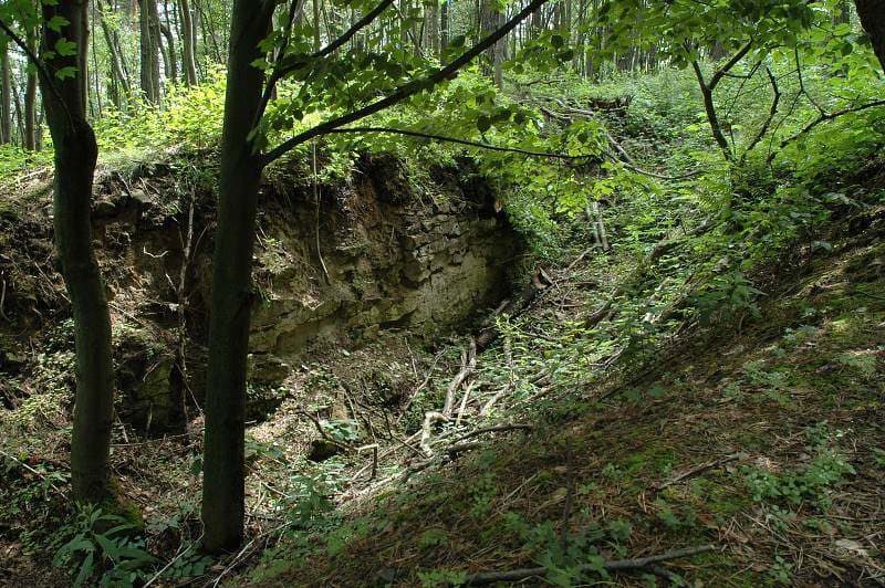Diabelski Mur (Czechy)