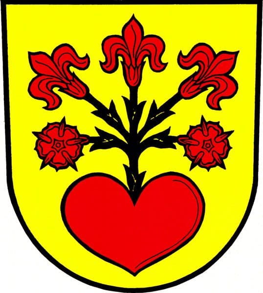 [M] Javorník - Borůvková hora