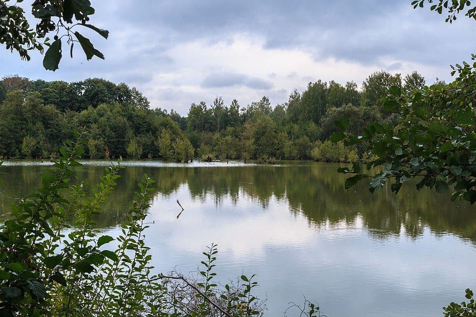 Mokřad